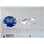 925 Sterling Silver Earrings, Created Blue Sapphire, SE207