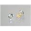 14k Gold Post Earrings, Green Amethyst, E012