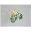 14k Gold Leverback Earrings, Green Amethyst, E201