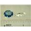 925 Sterling Silver Earrings, Neptune Garden Topaz, SE207