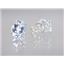 925 Sterling Silver Post Earrings, Silver Topaz, SE102