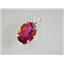 925 Sterling Silver Pendant, Crimson Topaz, SP006