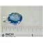 925 Sterling Silver Pendant, Neptune Garden Topaz, SP040