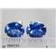 925 Sterling Silver Post Earrings, Created Blue Sapphire, SE202