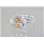 SR176, Champagne CZ, 925 Sterling Silver Ring