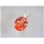 P022, Padparasha CZ 14K Gold Pendant w/ accent