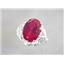 SR260, Created Ruby, 925 Sterling Silver Ring