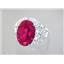 SR260, Created Ruby, 925 Sterling Silver Ring