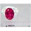 SR260, Created Ruby, 925 Sterling Silver Ring