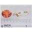 14k Gold Leverback Earrings, Padparadscha Sapphire, E107