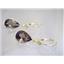 14k Gold Leverback Earrings, Smoky Quartz, E221