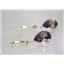 14k Gold Leverback Earrings, Smoky Quartz, E221