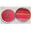 Pop Beauty Red Ribbon 5 Lip Gloss lipgloss Tin Sealed