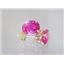 E002, Created Pink Sapphire 14K Gold Earrings, 3 cts