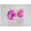 14k Gold Post Earrings, Created Pink Sapphire, E102
