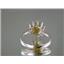 SR235, Citrine, 925 Sterling Silver Ring