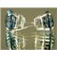 925 Sterling Silver Post Earrings, Neptune Garden Topaz, SE202