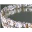SB002, Champagne CZ, 925 Sterling Silver Bracelet