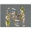 14k Gold Leverback Earrings, Peridot, E021