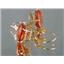 14k Gold Leverback Earrings, Created Padparadscha Sapphire, E207
