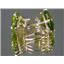 14k Gold Leverback Earrings, Peridot, E207