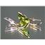 14k Gold Leverback Earrings, Peridot, E211