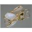 14k Gold Leverback Earrings, White Created Opal, E221