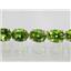 B003, Peridot, Gold Bracelet