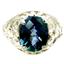 Sterling Silver Ladies Ring, Neptune Garden Topaz, SR004