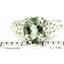 SR305, Green Amethyst 925 Sterling Silver Ring