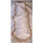 Red Agate Chip 36" Endless Strand Necklace