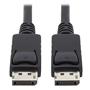 DisplayPort Cable (NEW)