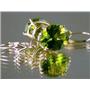 14k Gold Leverback Earrings, Peridot, E207